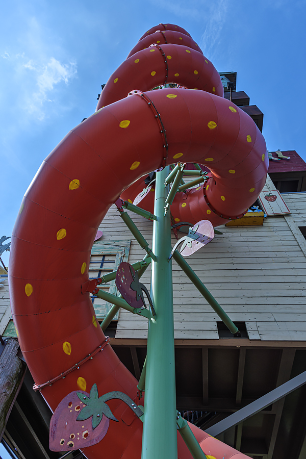 OF2_58180.jpg