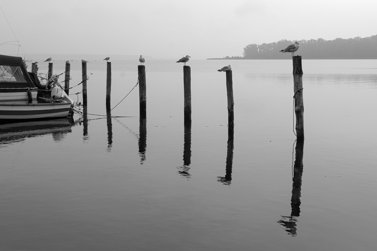 OF2_58341sw.jpg
