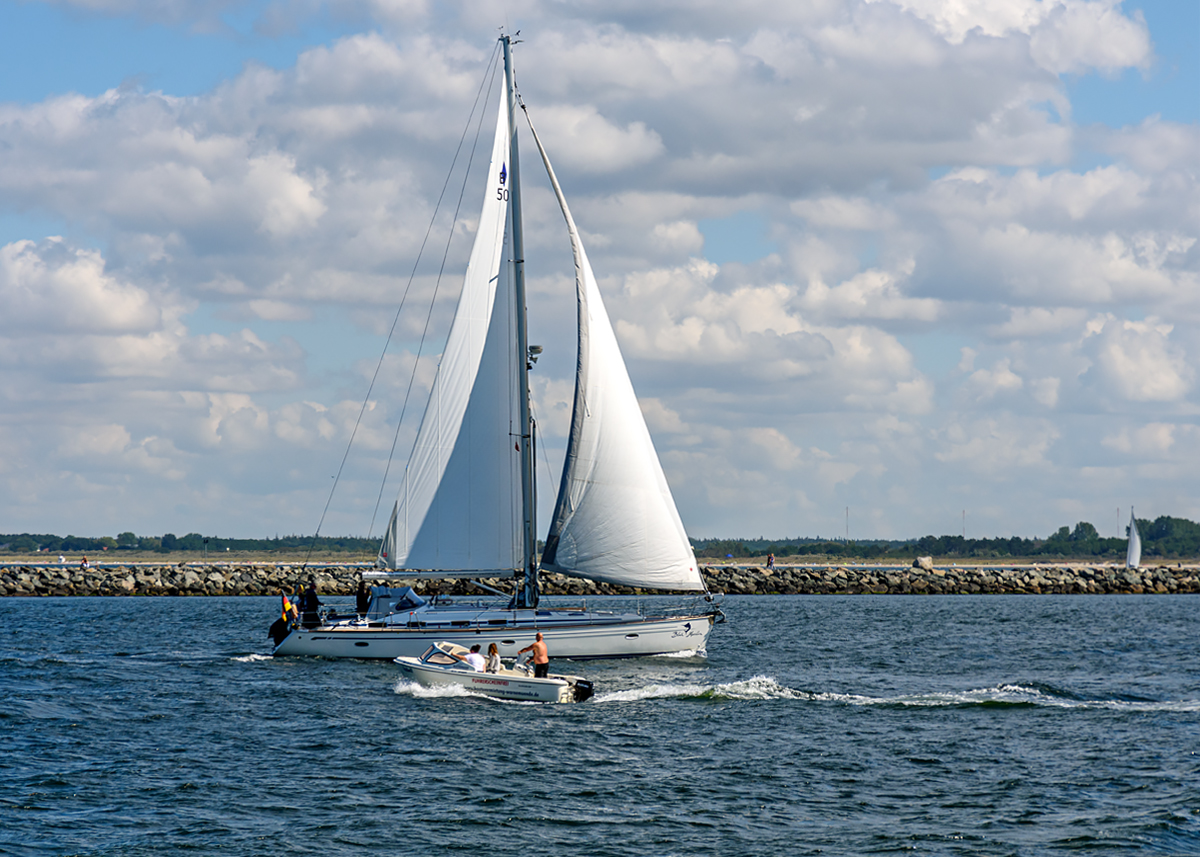 OF2_59084.jpg