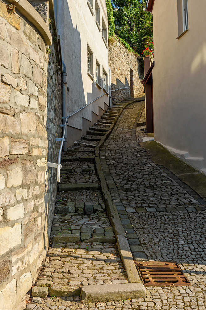 OF2_60040.jpg