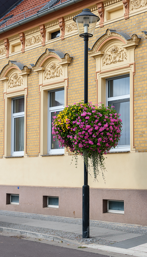 OF2_60050.jpg