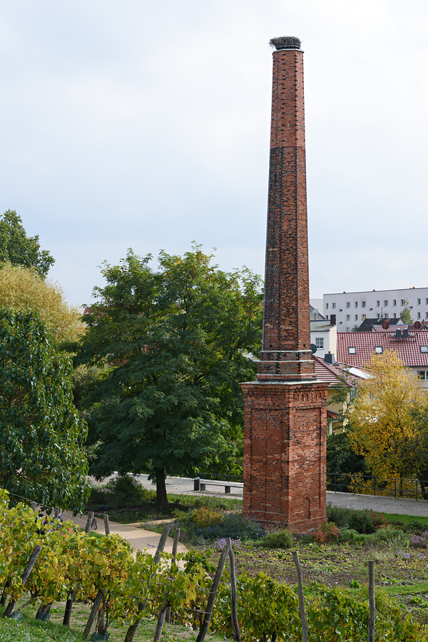 OF2_60055.jpg