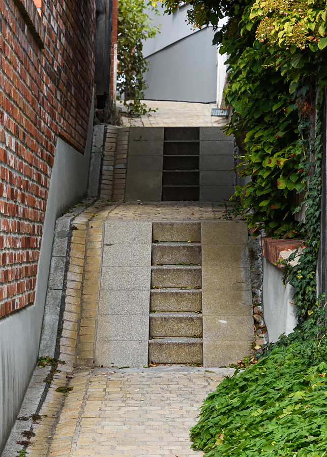 OF2_60077.jpg