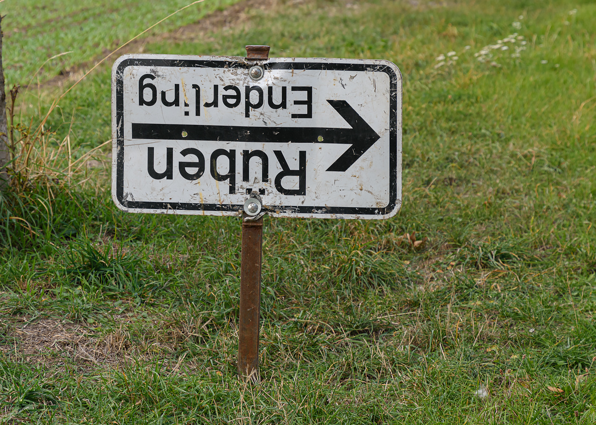 OF2_60229.jpg