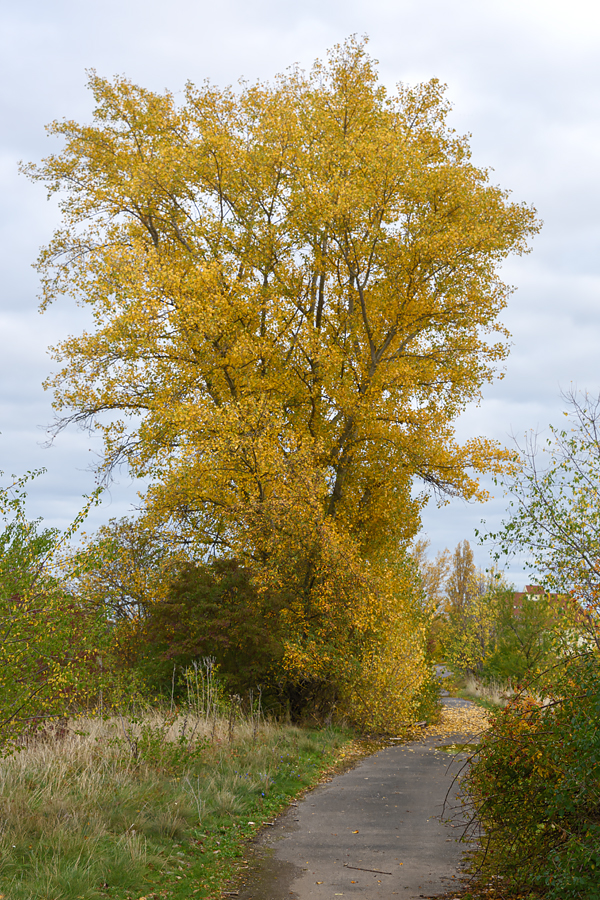 OF2_60341.jpg