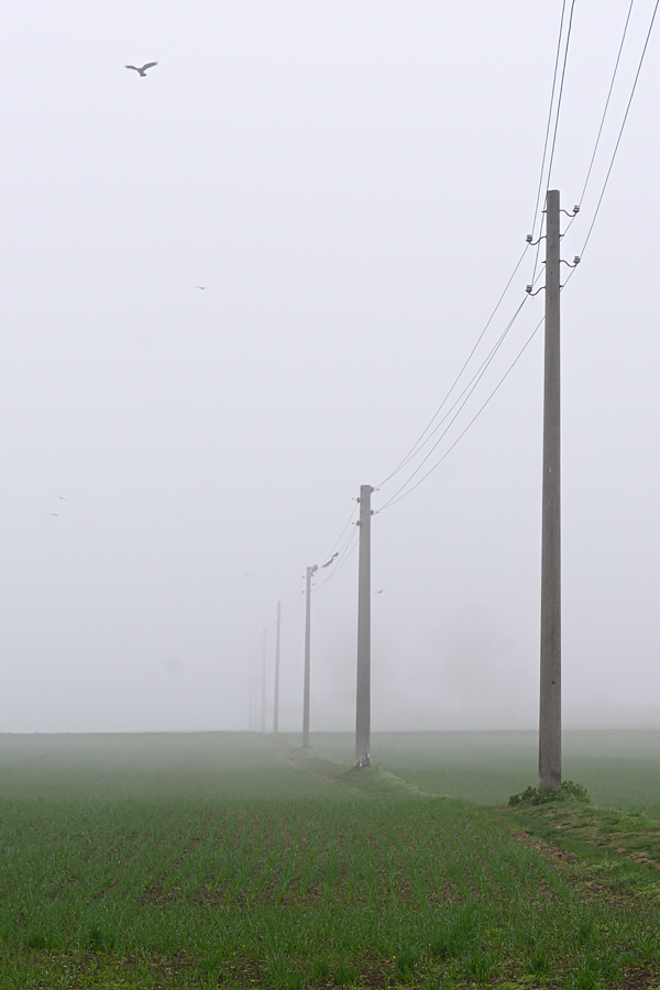 OF2_60440.jpg