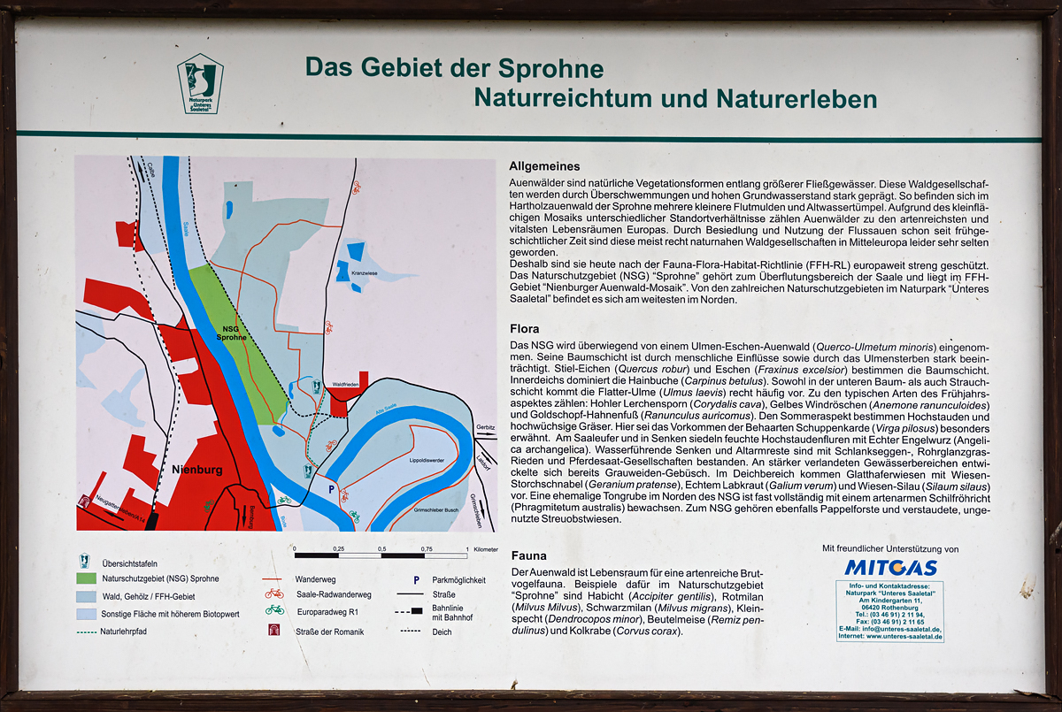 OF2_60939.jpg