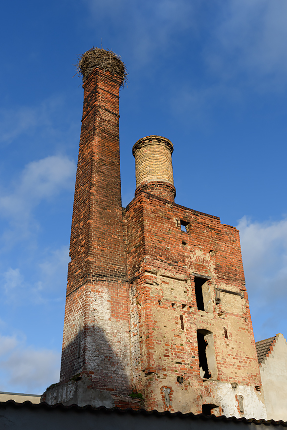 OF2_61848.jpg