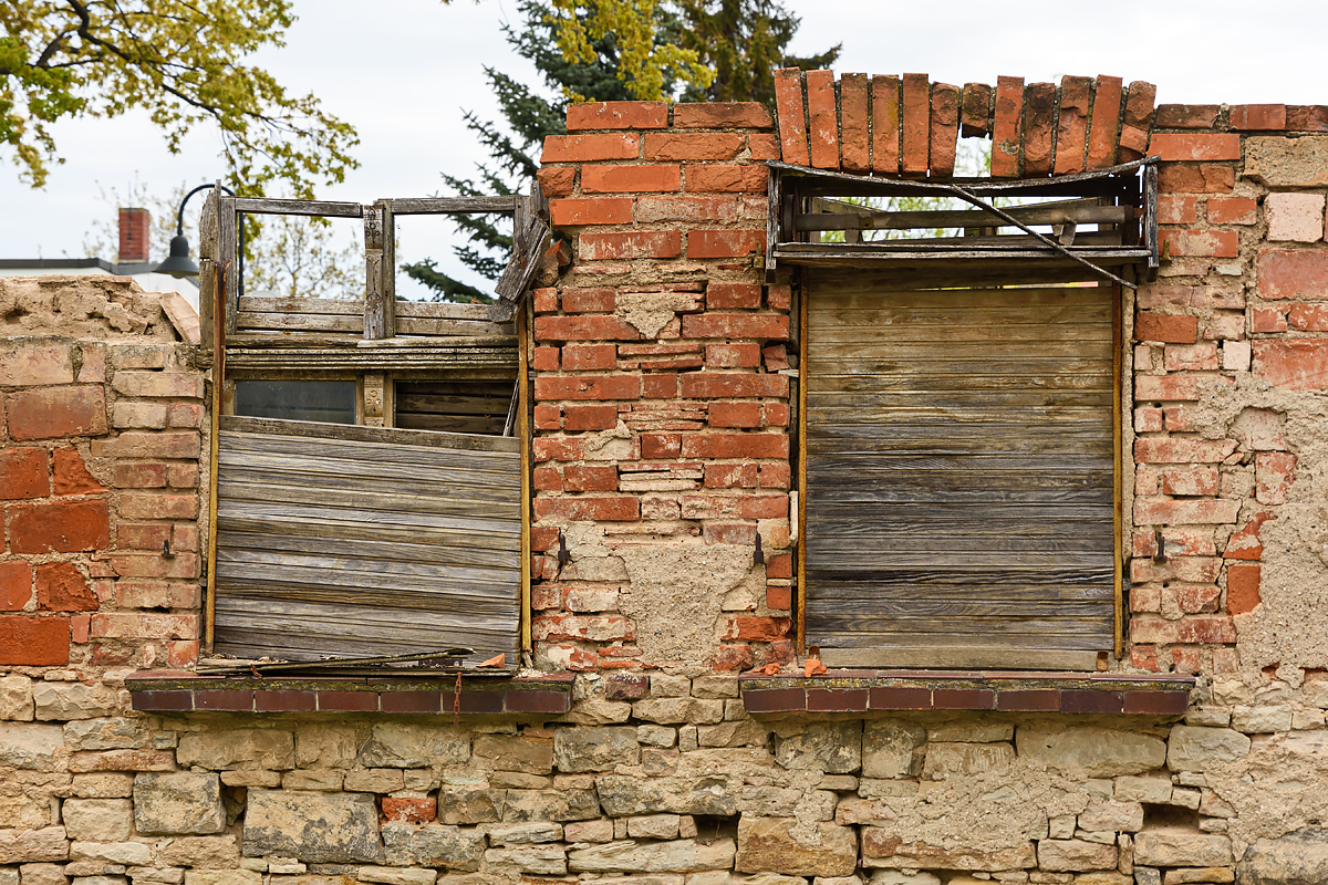 OF2_62450.jpg
