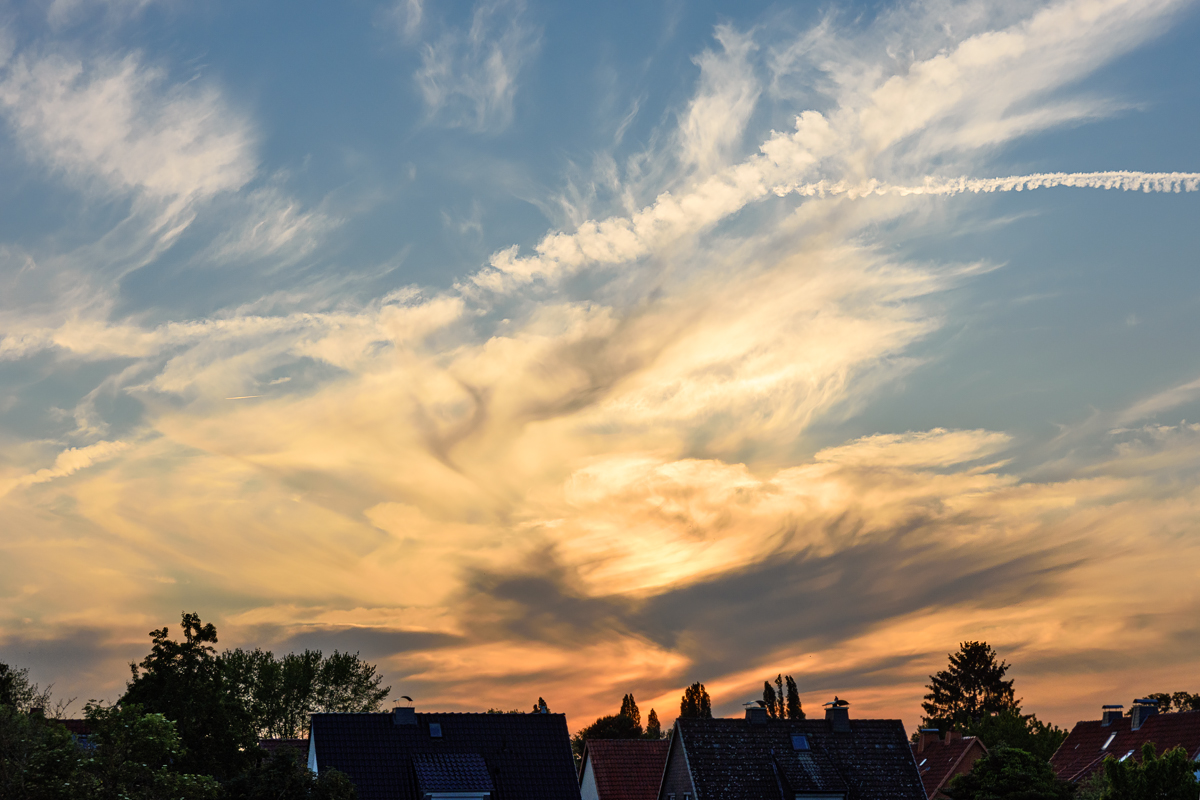 OF2_62650.jpg