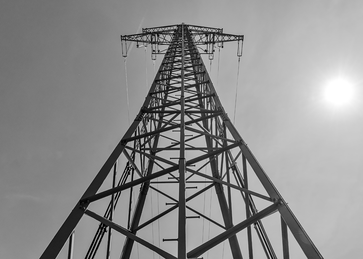 OF2_62823sw.jpg
