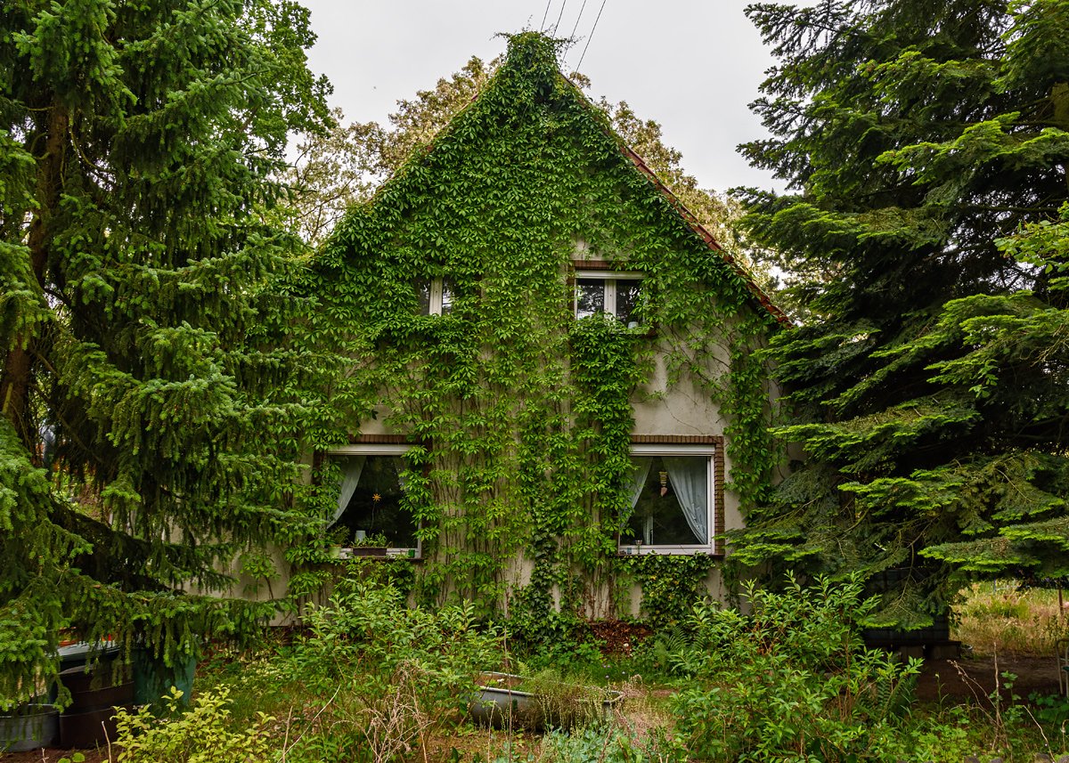 OF2_63087.jpg