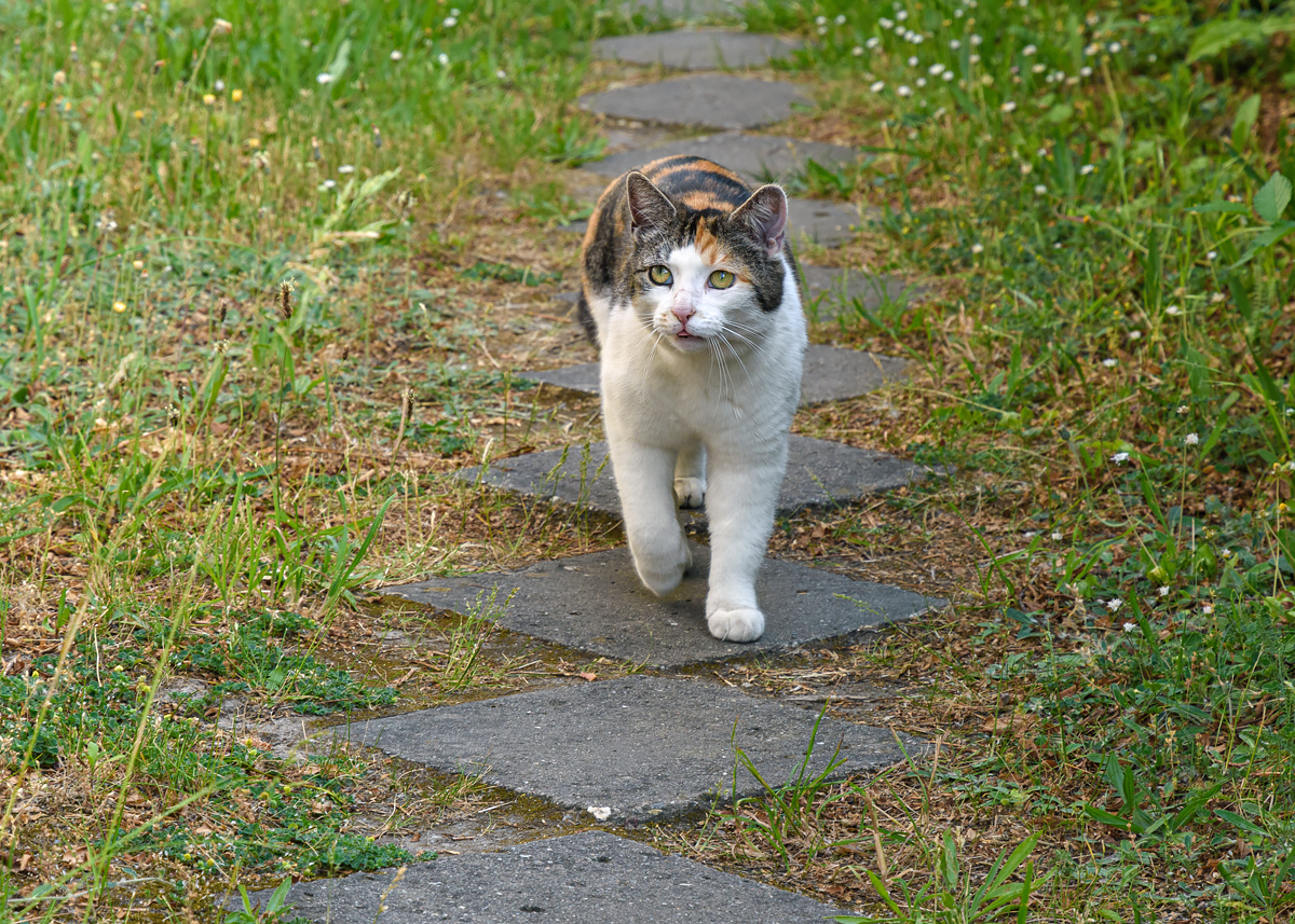 OF2_63169.jpg