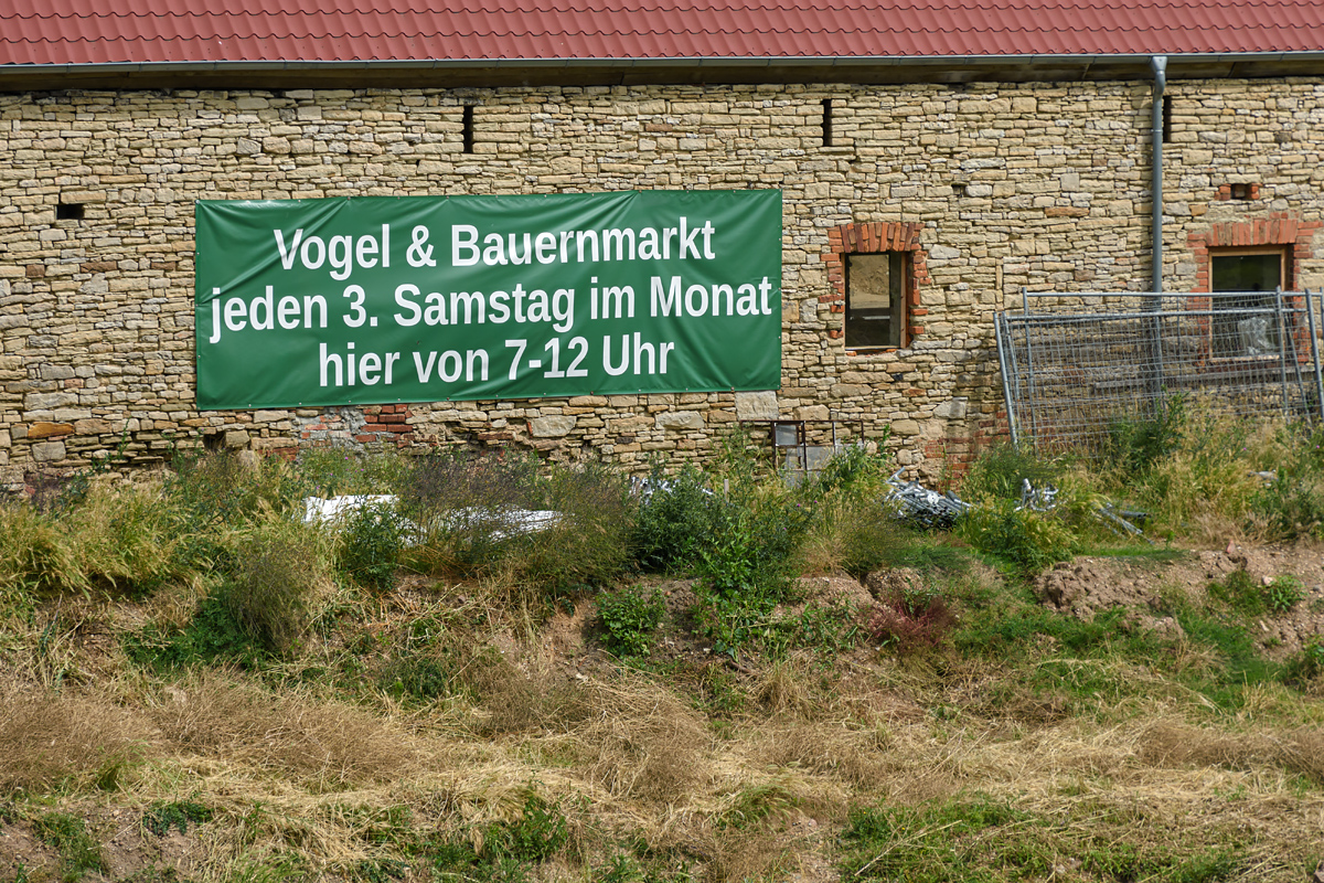 OF2_63814.jpg