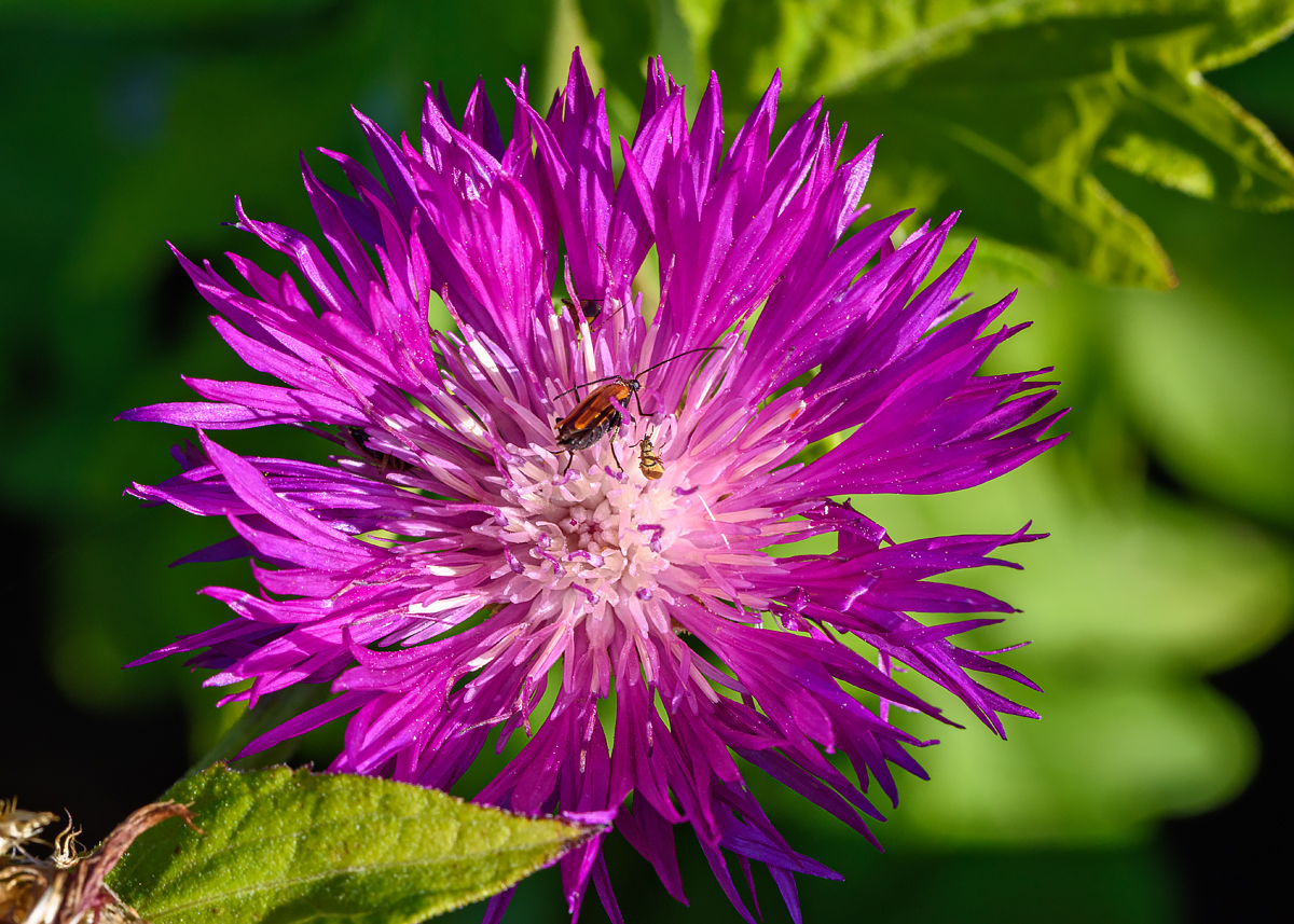 OF2_64073.jpg