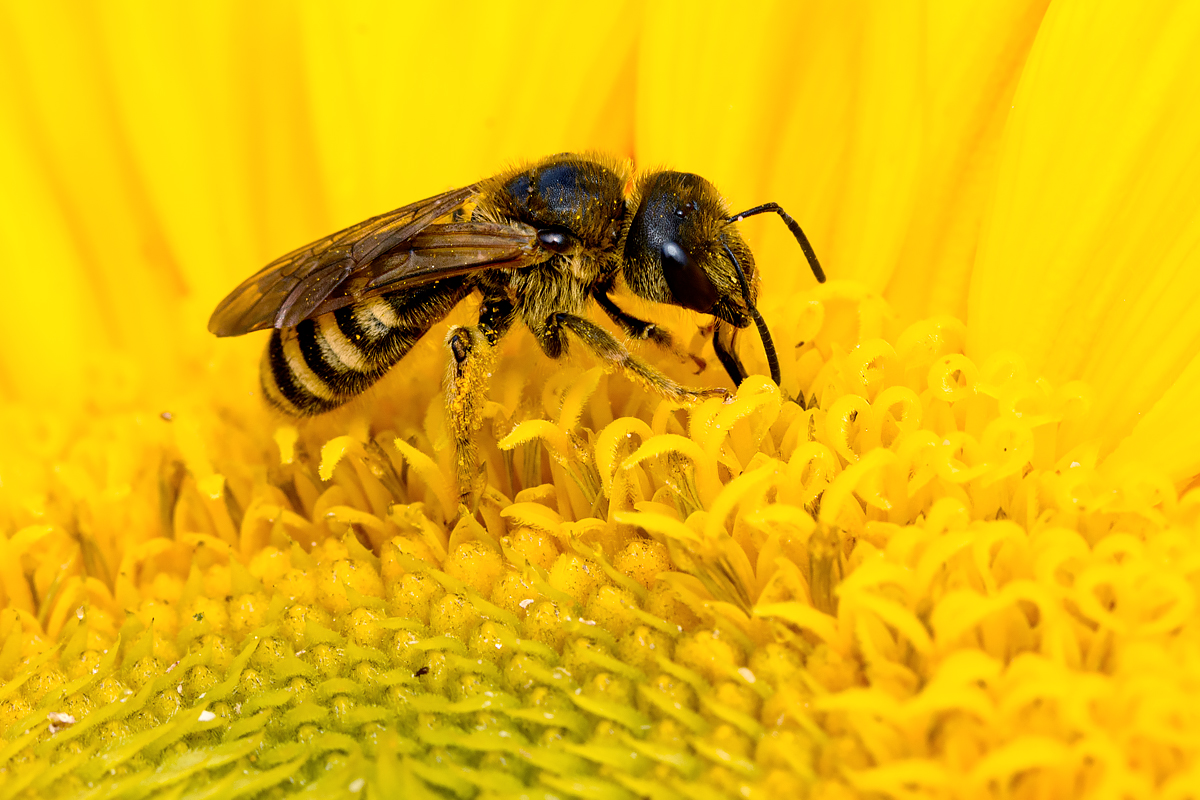 OF2_64097.jpg
