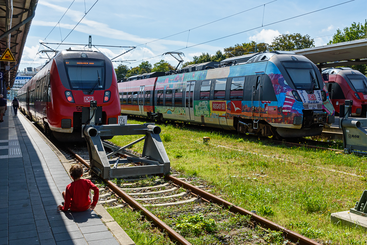 OF2_65300.jpg
