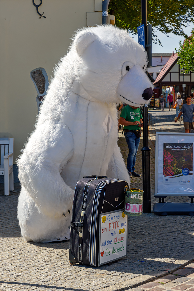 OF2_65410.jpg