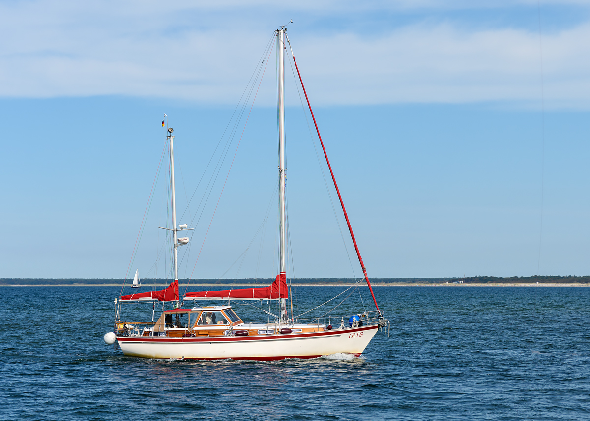 OF2_65472.jpg