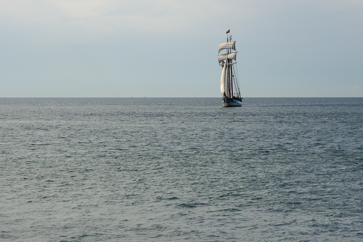 OF2_65497.jpg
