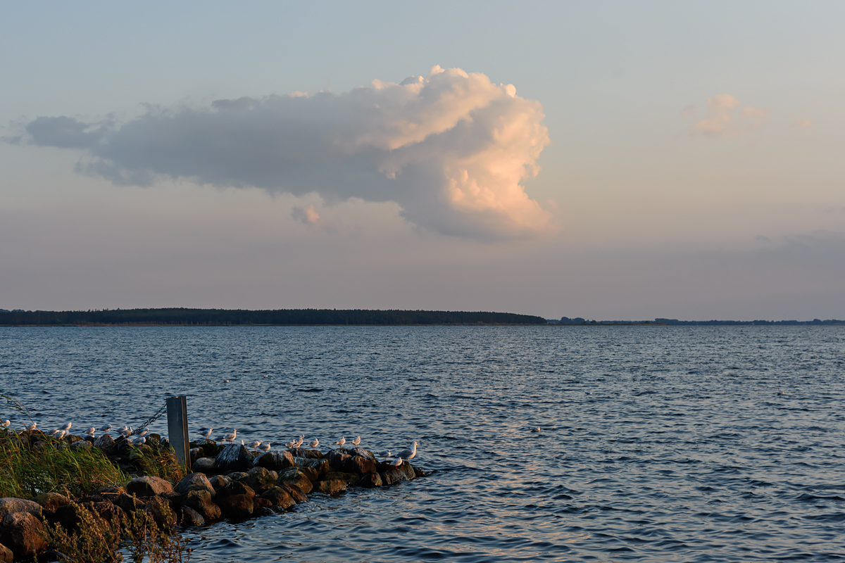 OF2_65749.jpg