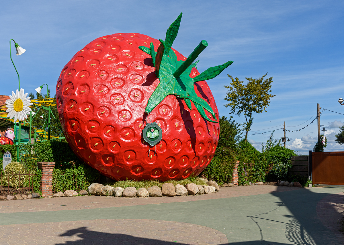 OF2_65820.jpg