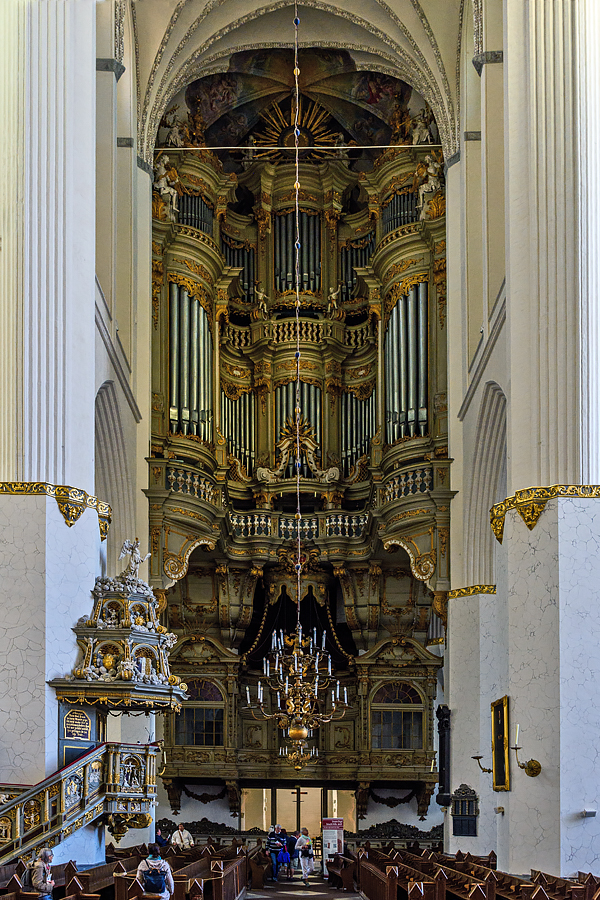 OF2_66215.jpg