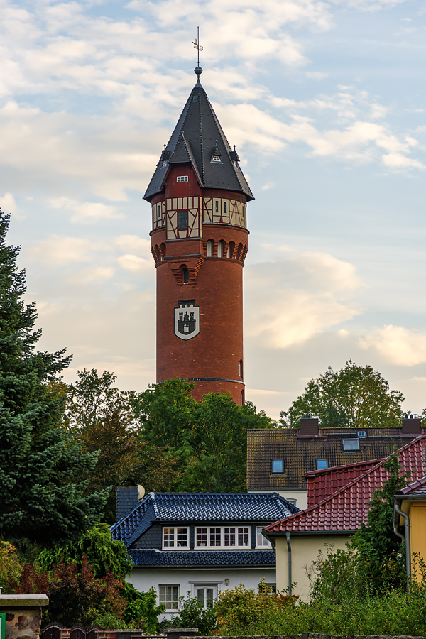 OF2_66525.jpg