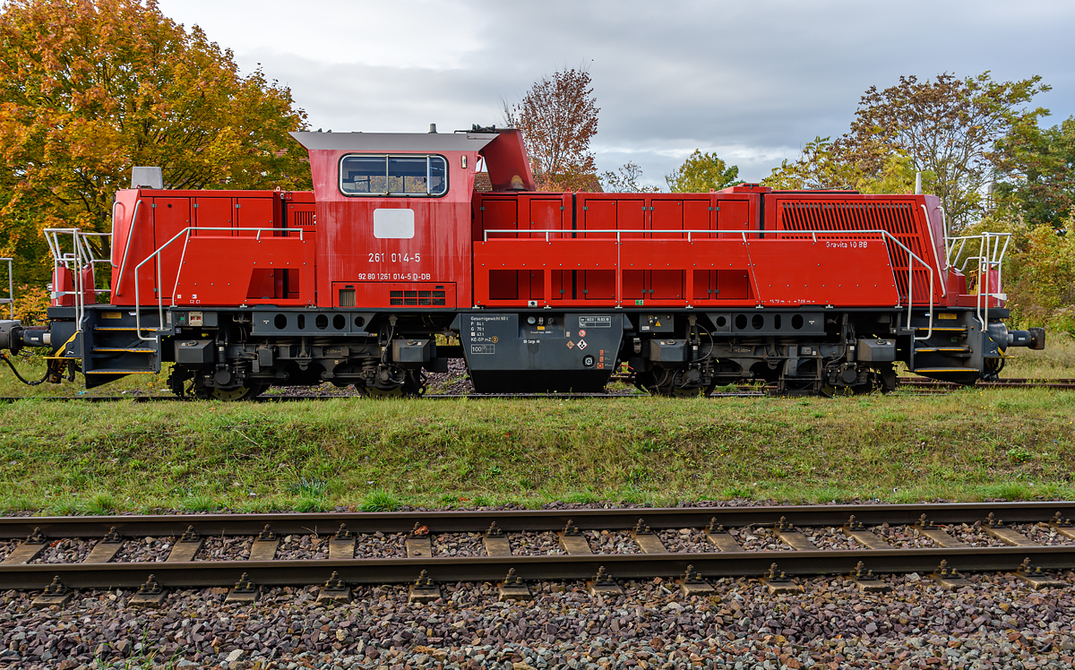 OF2_66702.jpg
