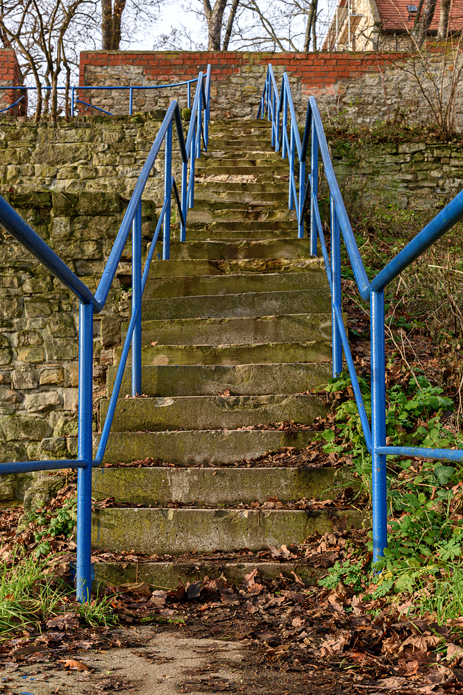 OF2_67030.jpg