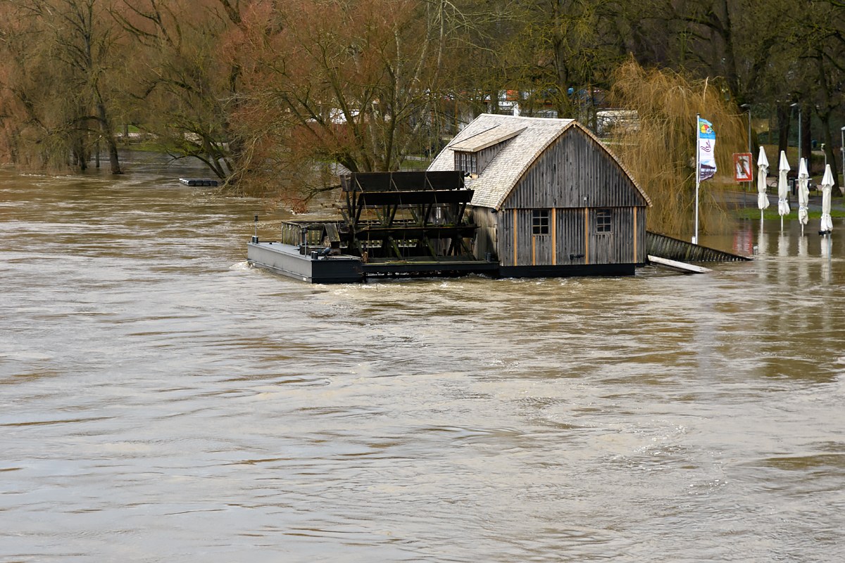 OF2_67118.jpg