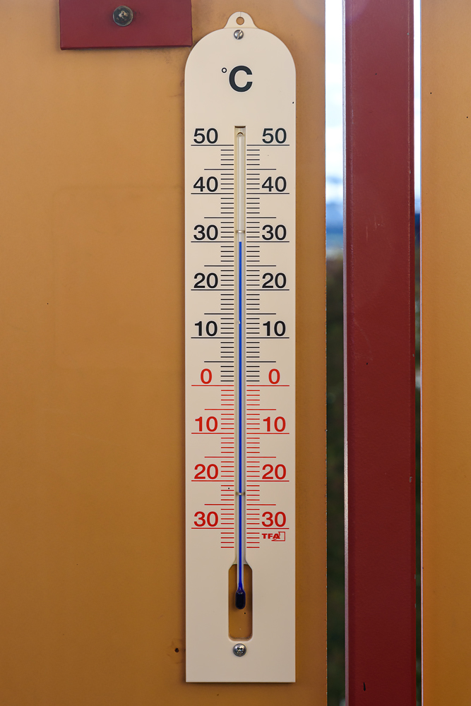 OF2_67765.jpg
