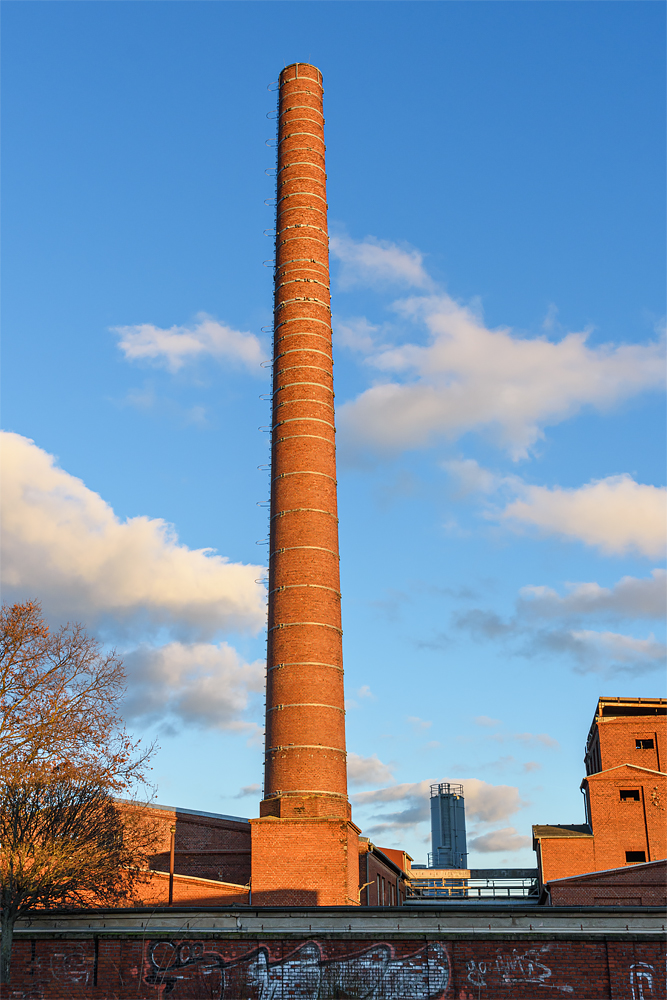 OF2_67958.jpg