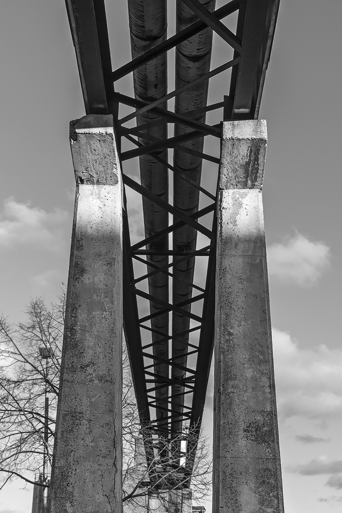 OF2_67963sw.jpg