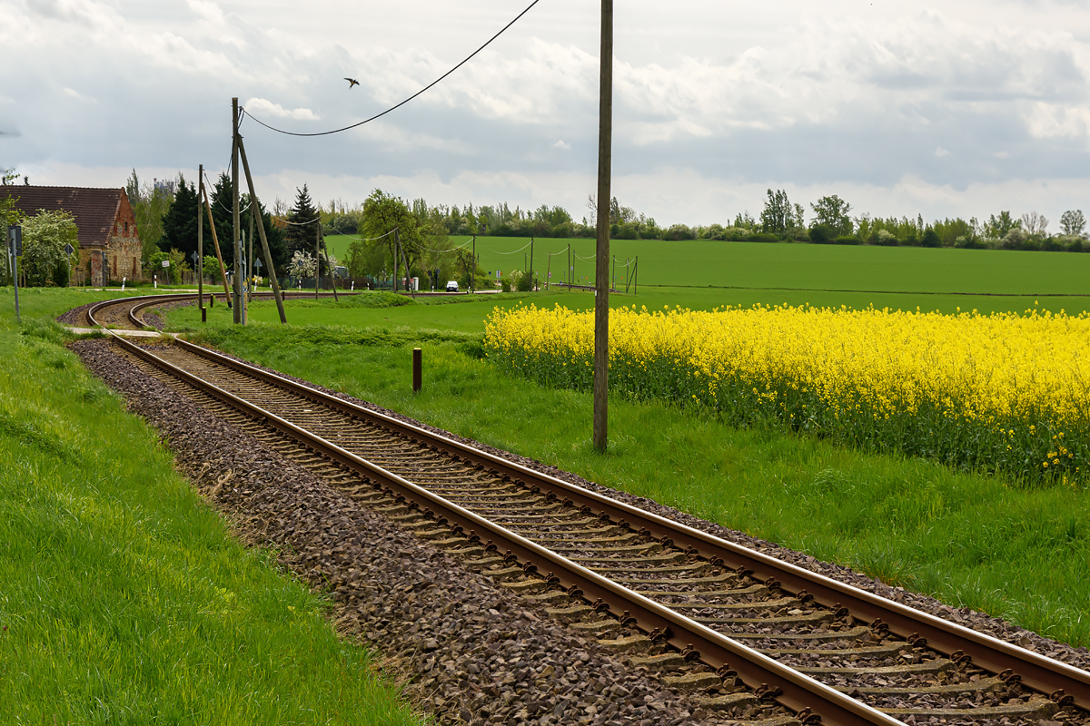 OF2_68738.jpg