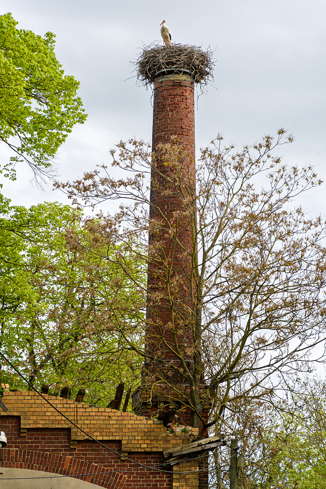 OF2_68790.jpg