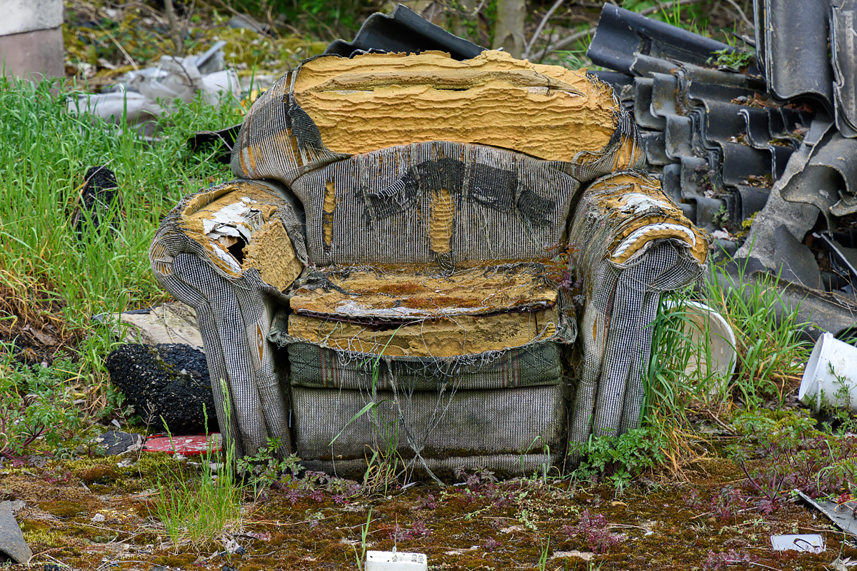 OF2_68800.jpg