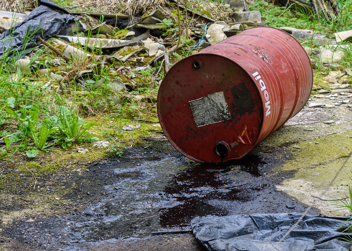 OF2_68813.jpg