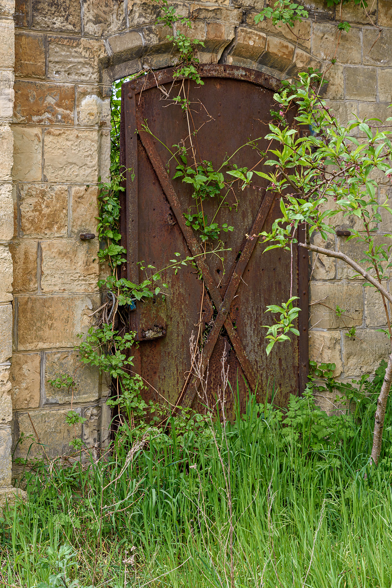 OF2_68833.jpg