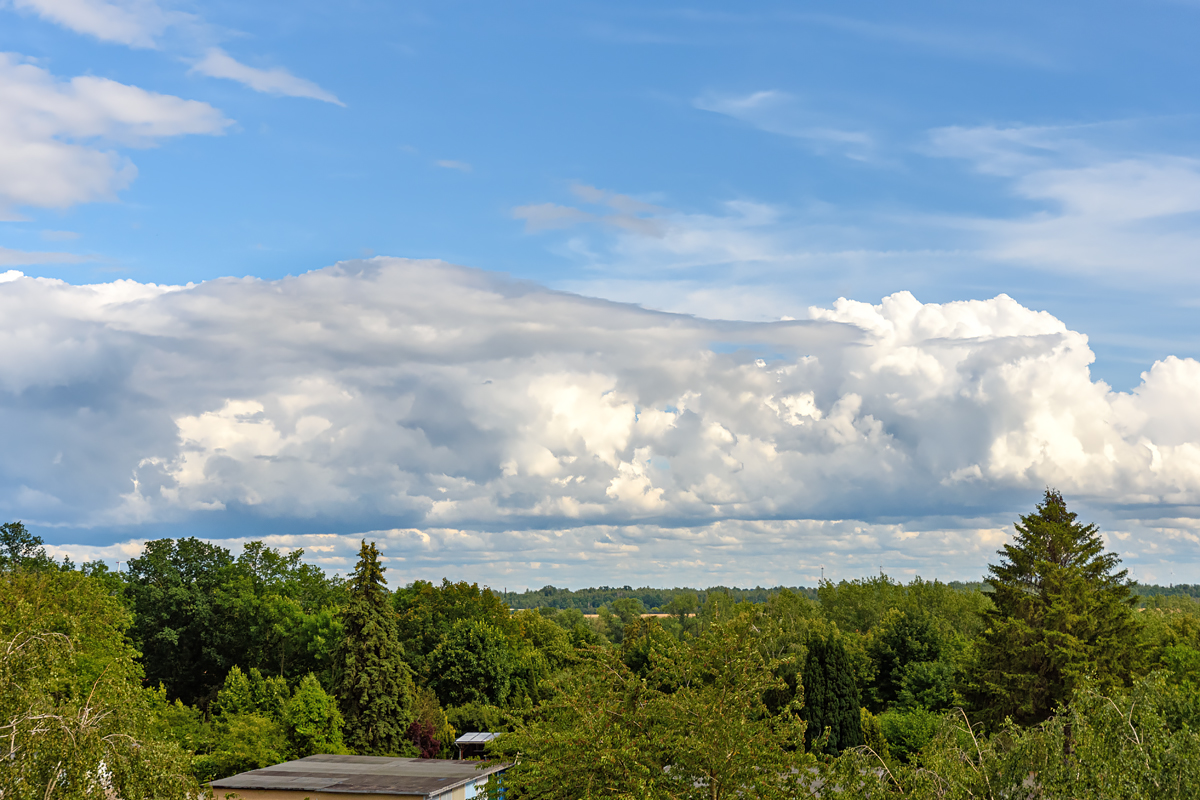 OF2_69060.jpg