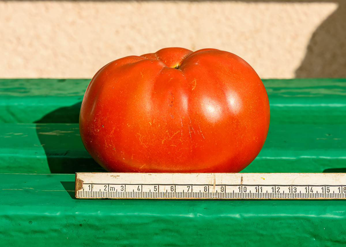 OF2_69300.jpg