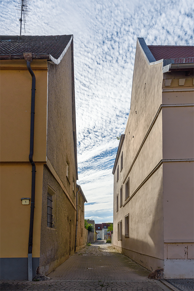 OF2_69635.jpg
