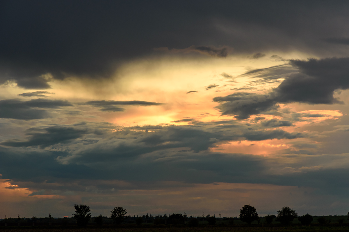 OF2_70270.jpg