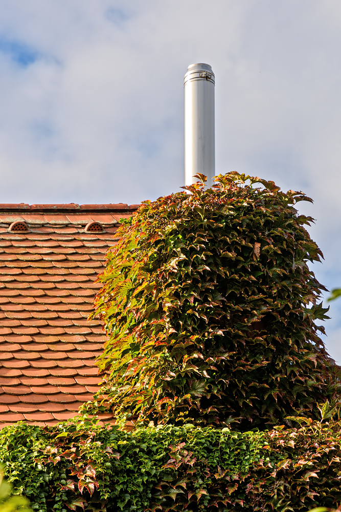 OF2_70475.jpg