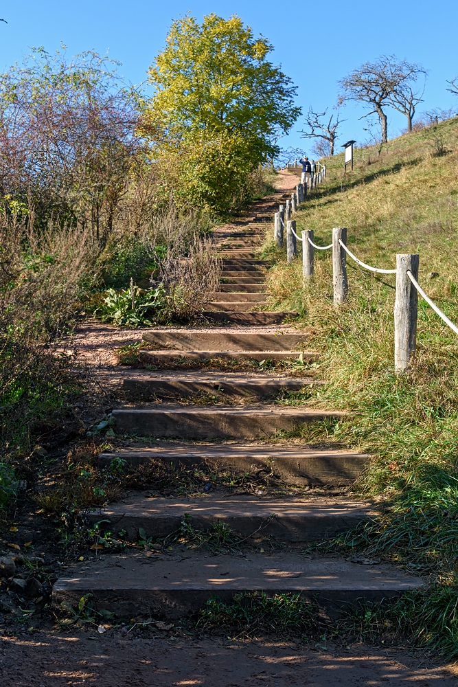 OF2_70538.jpg