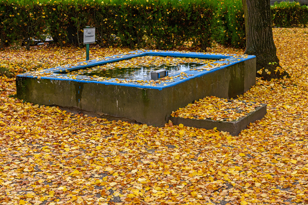 OF2_70739.jpg
