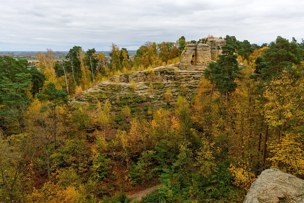 OF2_70841.jpg