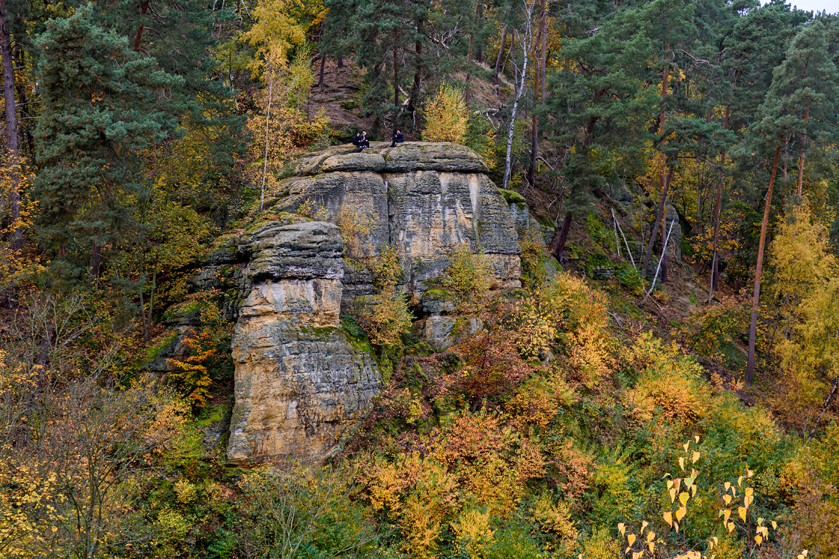 OF2_70878.jpg