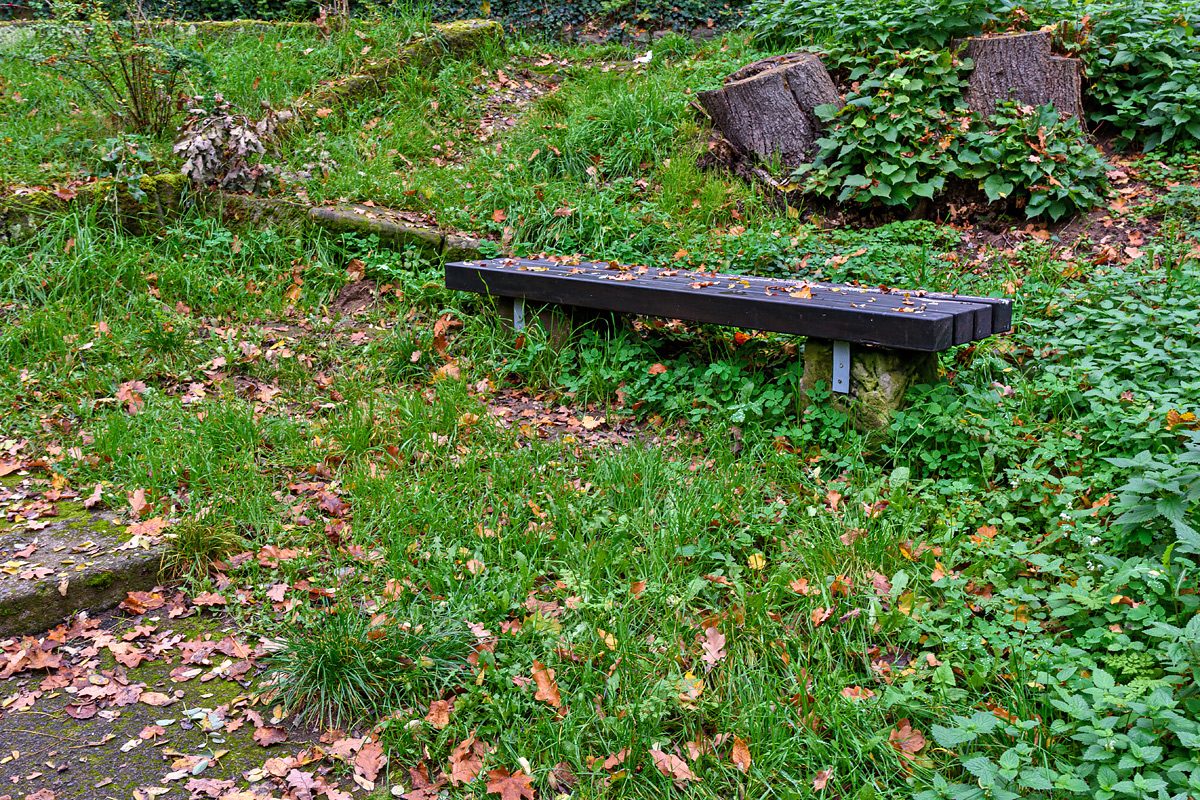 OF2_70919.jpg