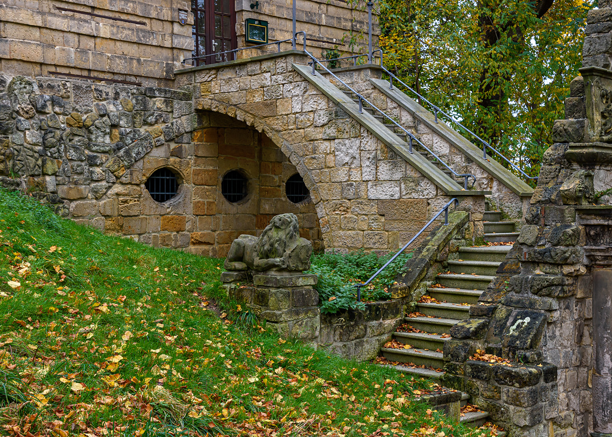 OF2_70924.jpg